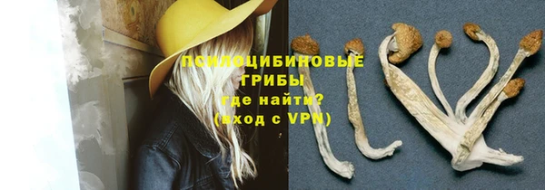 твердый Абаза