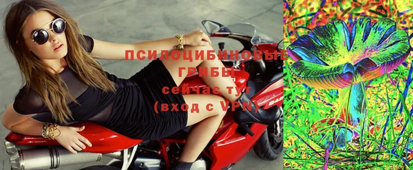 таблы Няндома