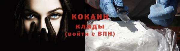 твердый Абаза
