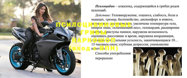 хмурый Абинск
