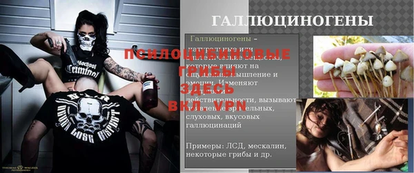хмурый Абинск