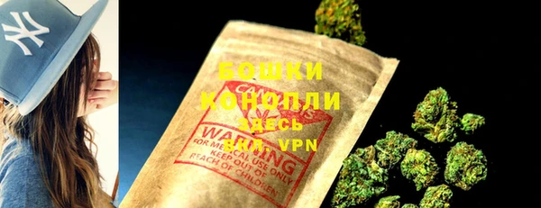 spice Осинники