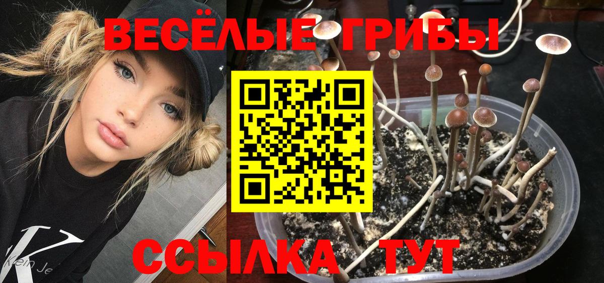 Галлюциногенные грибы прущие грибы Юрга