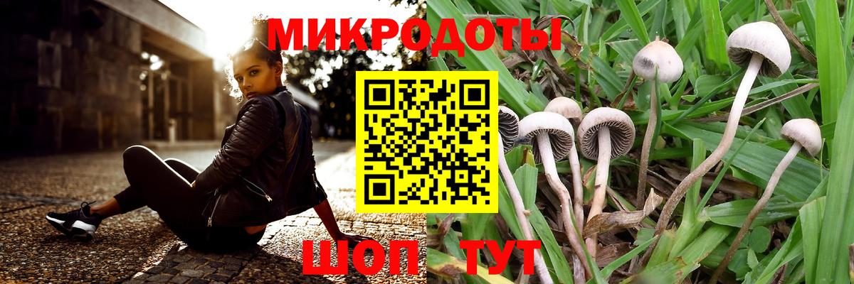 Галлюциногенные грибы Юрга