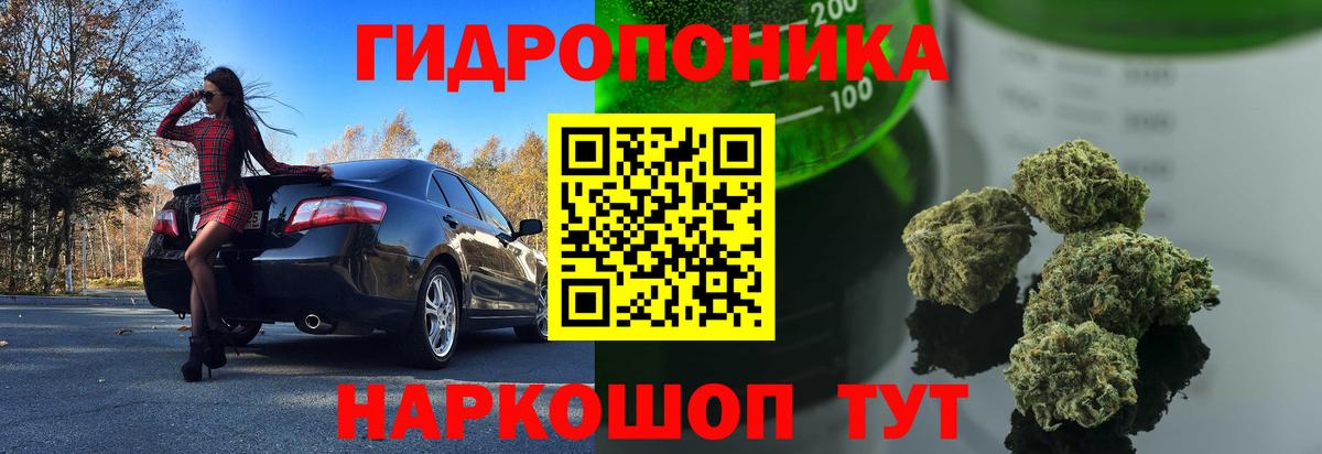 Шишки марихуана семена Юрга